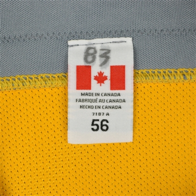Vernon Fiddler - Nashville Predators - 2017 Stanley Cup Final Practice-Worn Jersey 