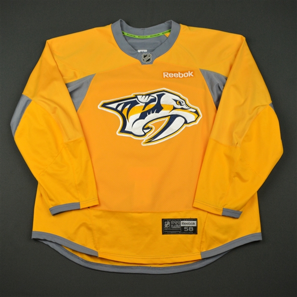 Cody McLeod - Nashville Predators - 2017 Stanley Cup Final Practice-Worn Jersey 