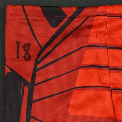 Alex Kromm - Rapid City Rush - 2017-18 MARVEL Super Hero Night - Game-Worn Socks