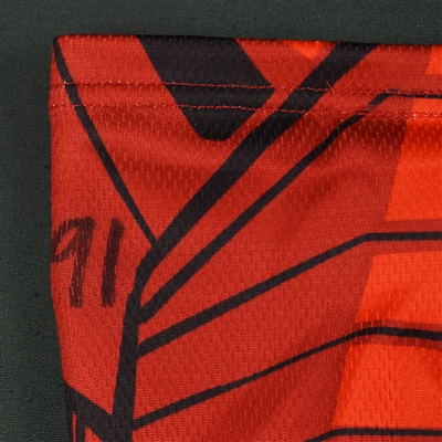 Peter Sivak - Rapid City Rush - 2017-18 MARVEL Super Hero Night - Game-Worn Socks