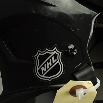 Ales Hemsky - 2014-15 - Dallas Stars - Game-Used Helmet