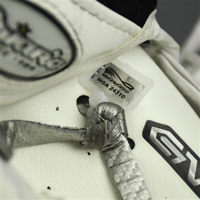 Jaroslav Halak - Game-Used - Brians GNETIK IV Catcher - 2019-20 NHL Season